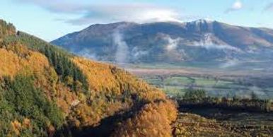 Whinlatter