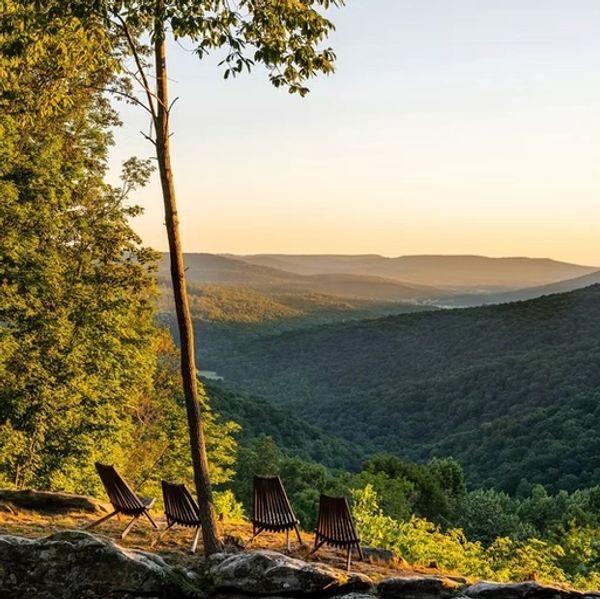 Chairs overlooking a sunlit forest valley at sunset.