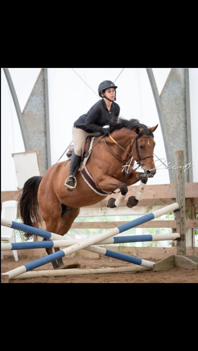 Equestrian rider jumping a brown horse over cross rails in an indoor arena.
