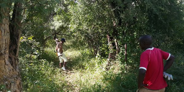 Slashing grass and trimming branches out at Morwa