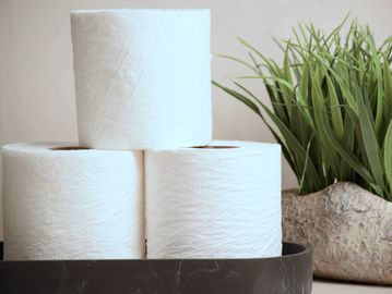 Green Heritage Pro 248 Bathroom Tissue