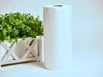 Kitchen Roll Towel