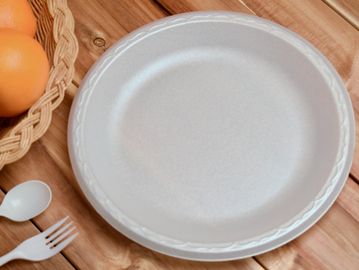 10" Round Foam Plate