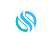 Skylink USA