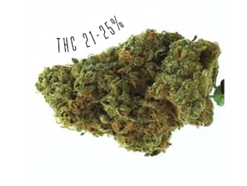 Sage N Sour is a sativa-dominant strain, with THC potency of 21-25%