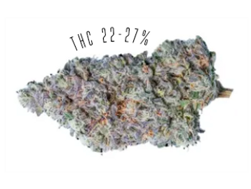 Menta Limone is a hybrid strain, with THC potency of 22-27%