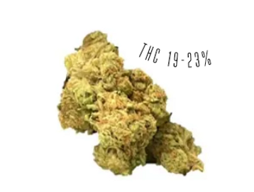 Northern Lights is an indica strain, with THC potency of 19-23%