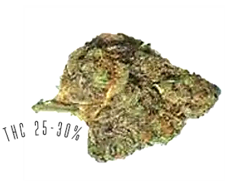 Slurricane is an indica-dominant strain, with THC potency of 25-30%