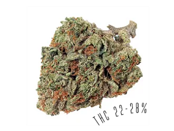 Tire Fire is an indica-dominant strain, with THC potency of 22-28%