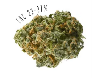 Blue Dream is a sativa-dominant strain, with THC potency of 22-27%