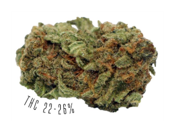 Sweet Berry Kush is an indica strain, with THC potency of 22-26%