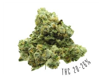 33 Splitter is an indica-dominant strain, with THC potency of 20-26%