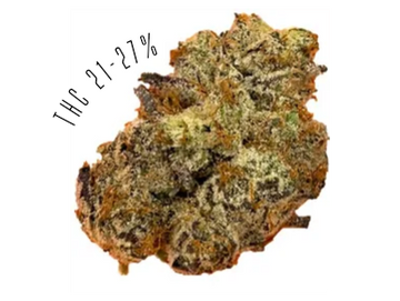 Chocolate Marshmallows is a hybrid strain, with THC potency of 21-27%