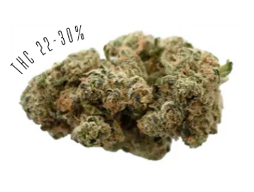 GMO x Animal Cookies is an indica strain, with THC potency of 22-30%