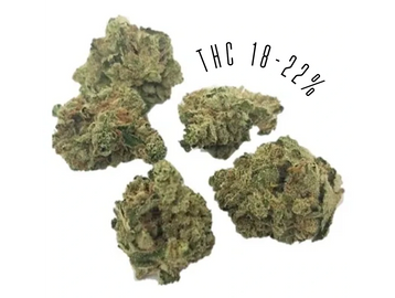 Delahaze is a sativa-dominant strain, with THC potency of 18-22%