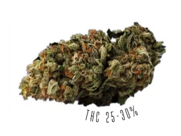 Medellin is a sativa-dominant strain, with THC potency of 25-30%