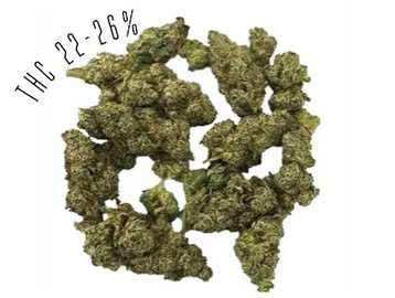 Berry Cream Puff is a sativa-dominant strain, with THC potency of 22-26%