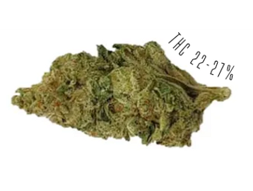 Mandarin Cookies is a sativa-dominant strain, with THC potency of 22-27%