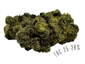 Jetlato is a hybrid strain, with THC potency of 25-28%