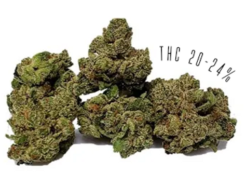Legendary Larry is an indica-dominant strain, with THC potency of 20-24%