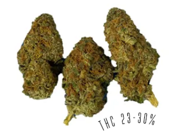 Sunset Octane OG is an indica strain, with THC potency of 23-30%