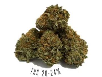 Rainmaker is an indica-dominant strain, with THC potency of 20-24%
