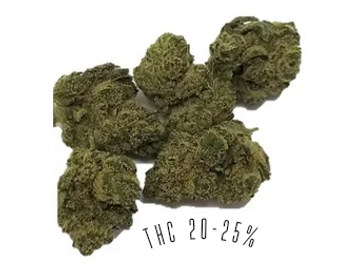 Gorilla Glue is a sativa-dominant strain, with THC potency of 20-25%