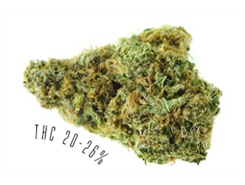 Tai Punch is an indica-dominant strain, with THC potency of 20-26%