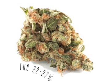 Ghost Train Haze is a sativa strain, with THC potency of 18-22%