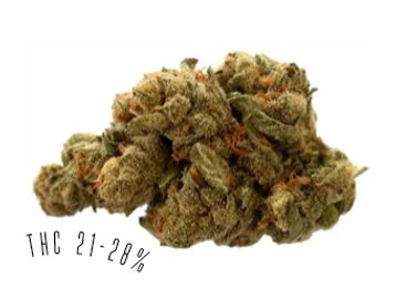 Lemonatti is a sativa strain, with THC potency of 21-28%