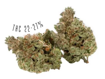Black Triangle is an indica-dominant strain, with THC potency of 22-27%