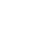 FLX CAR SERVICE