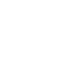 FLX CAR SERVICE