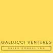 Gallucci Ventures Sales Consulting