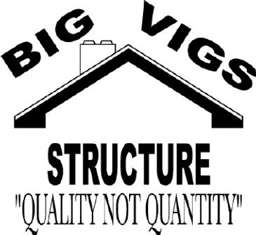 Big Vigs Structure logo