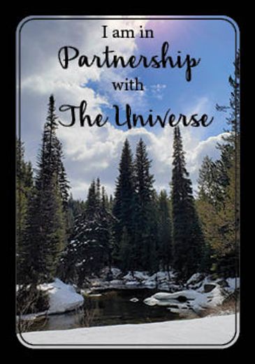 I am in partnership with the universe on a picture of a winter mountain creek with tall pines 