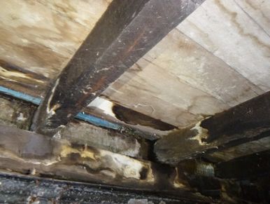 water damaged subfloor and mould growth in a water damaged building 