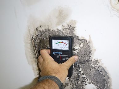 Measuring damp and moisture levels on mould damaged ceiling. 