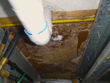The under side of a planter box with a water leak and a leaking pipe, causing mould and water damage