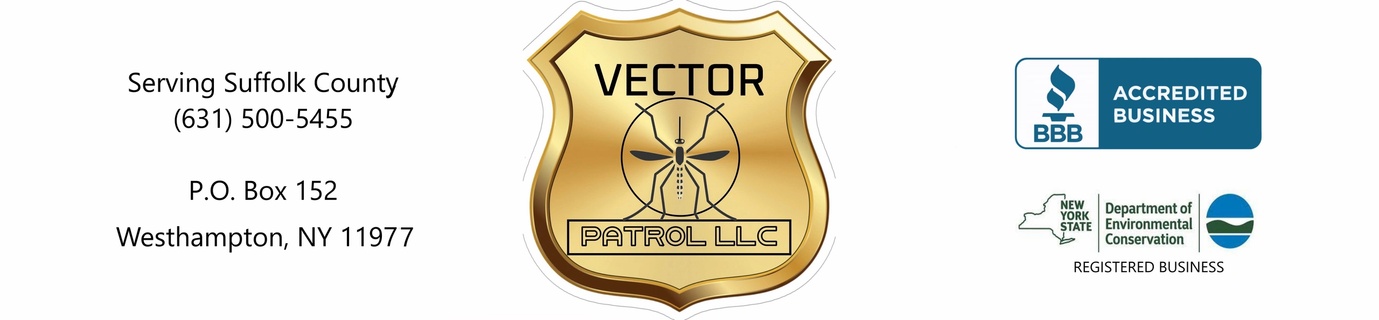 vector patrol