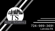 TS Property Professionals
