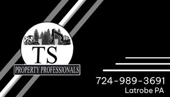 TS Property Professionals
