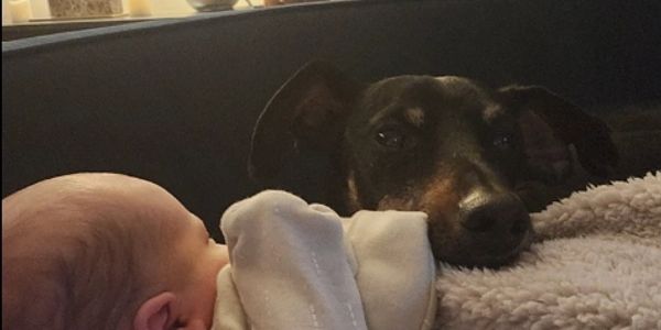 Baby and dog resting together.