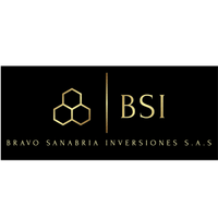 Bravo Sanabria Inversiones S.A.S