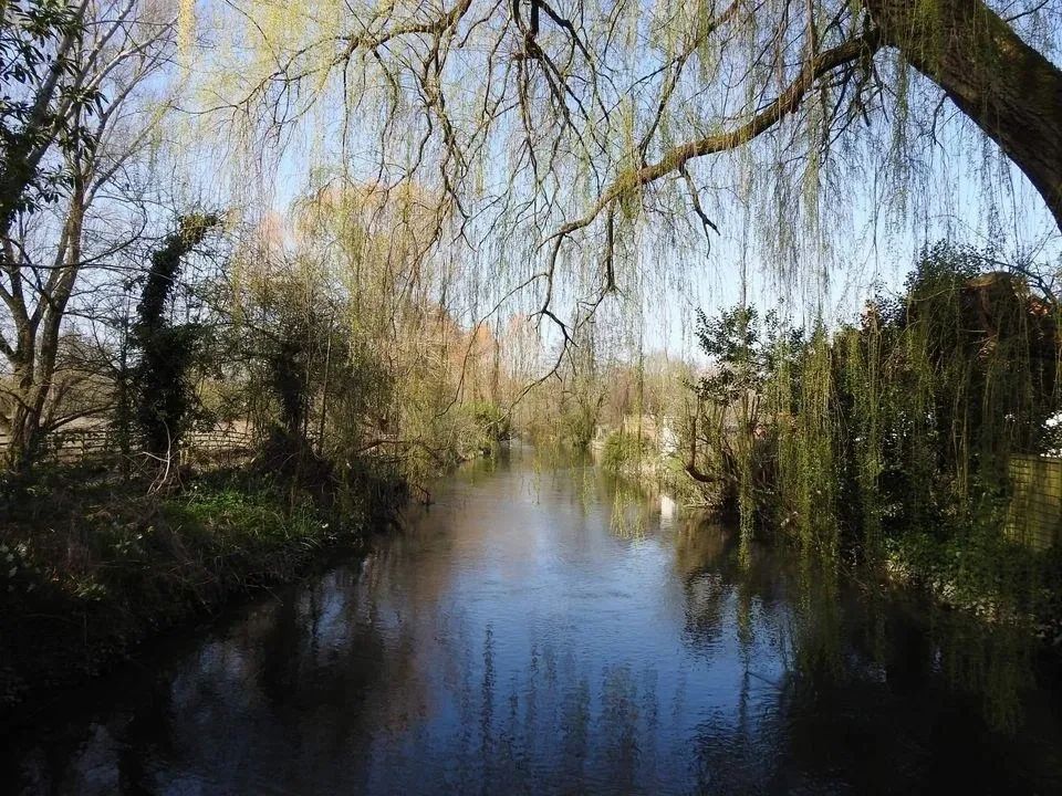 Broken Bridges Salisbury