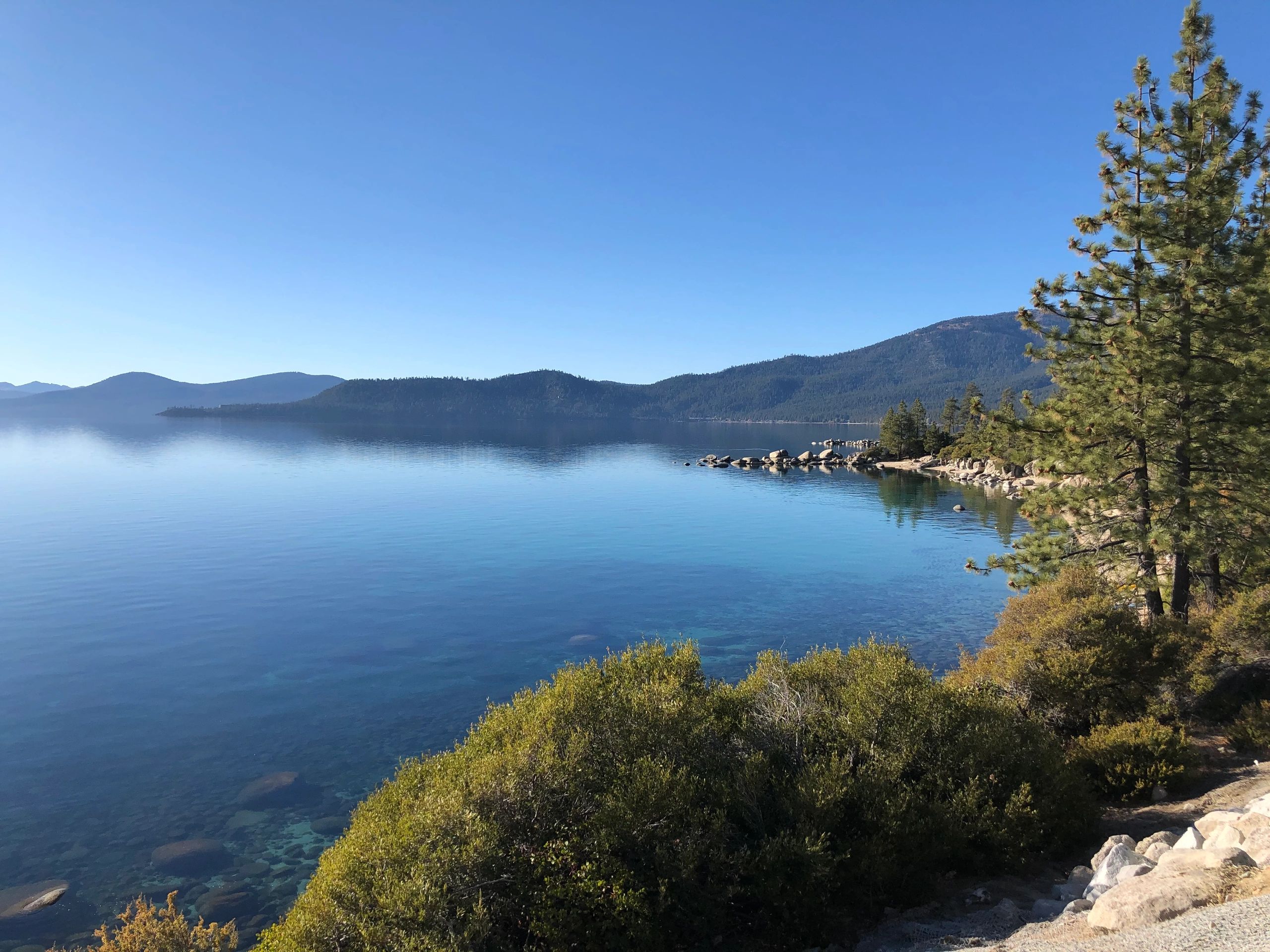 Tahoe Immo cover