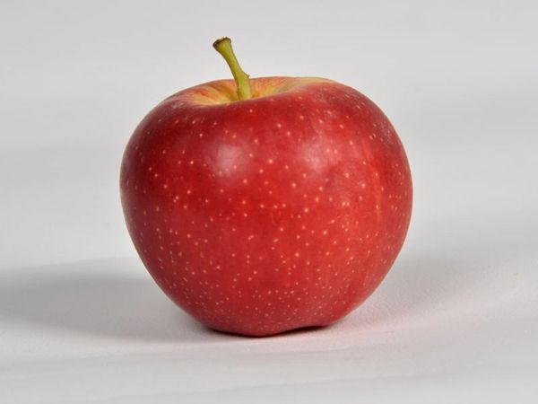 red delicious