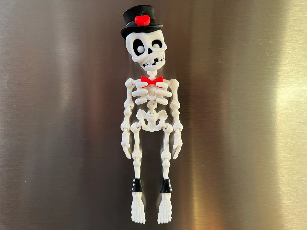 Skeleton Magnet