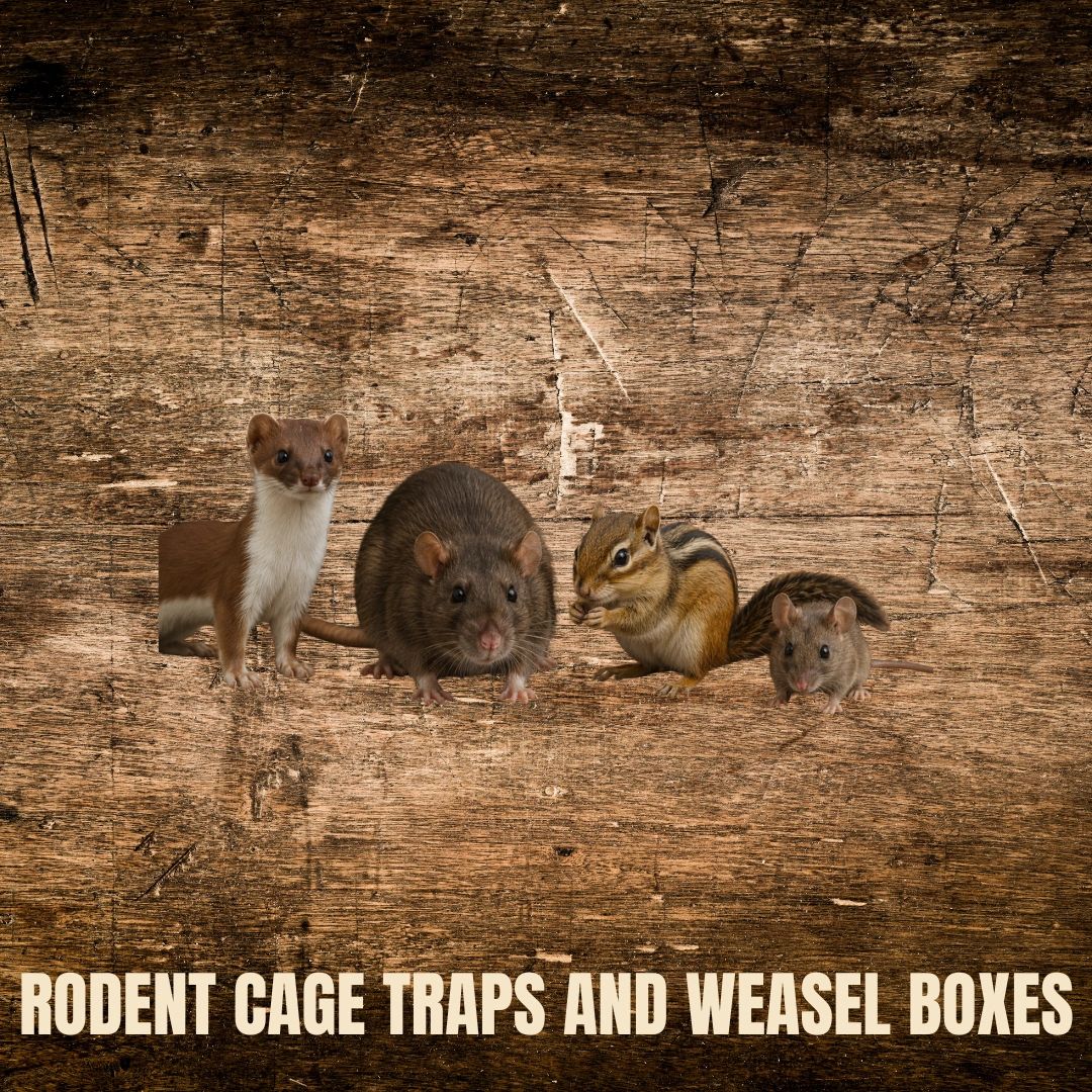 rodent-cage-traps-weasel-boxes