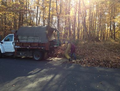 Leaf Cleanup and Grounds Maintenance by Regency Landscape, LLC